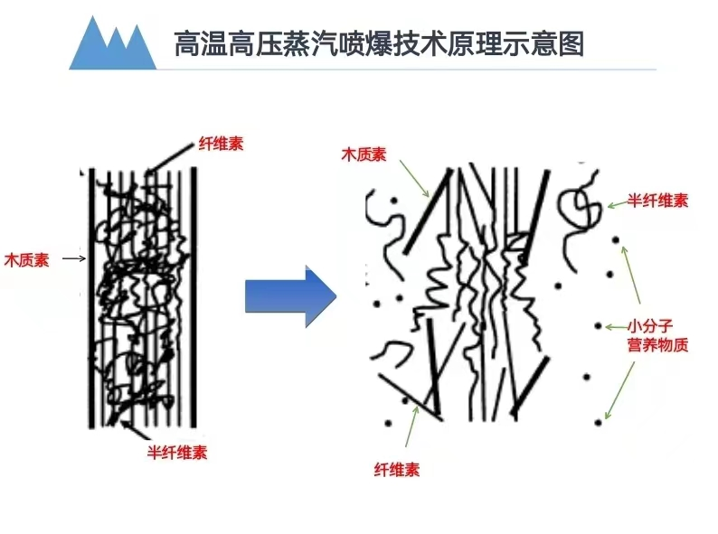 秸稈沼氣技術(shù)2.png